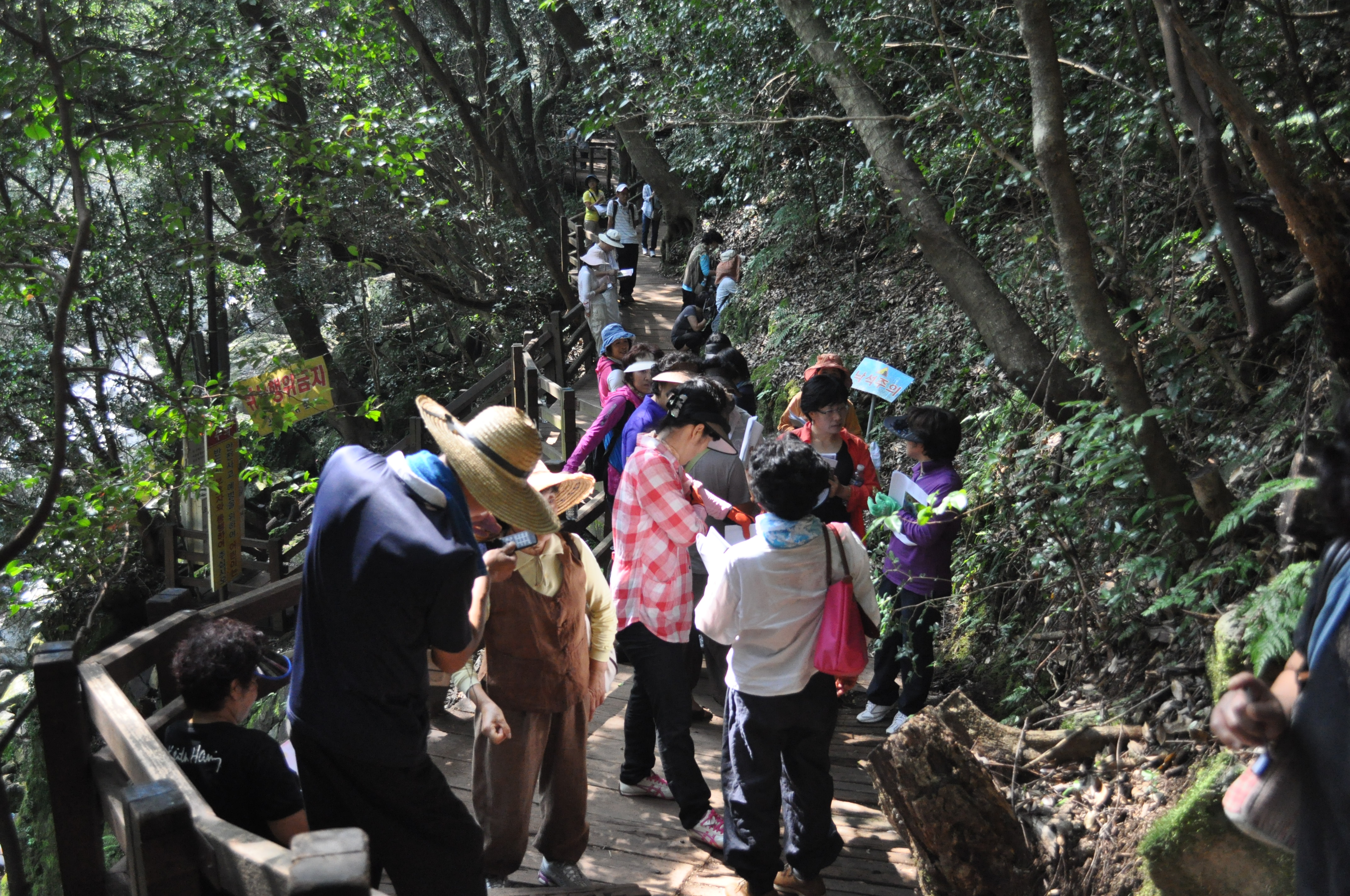 도시생활농업 활성화 생활원예 교육(2차수,2011.9.15)